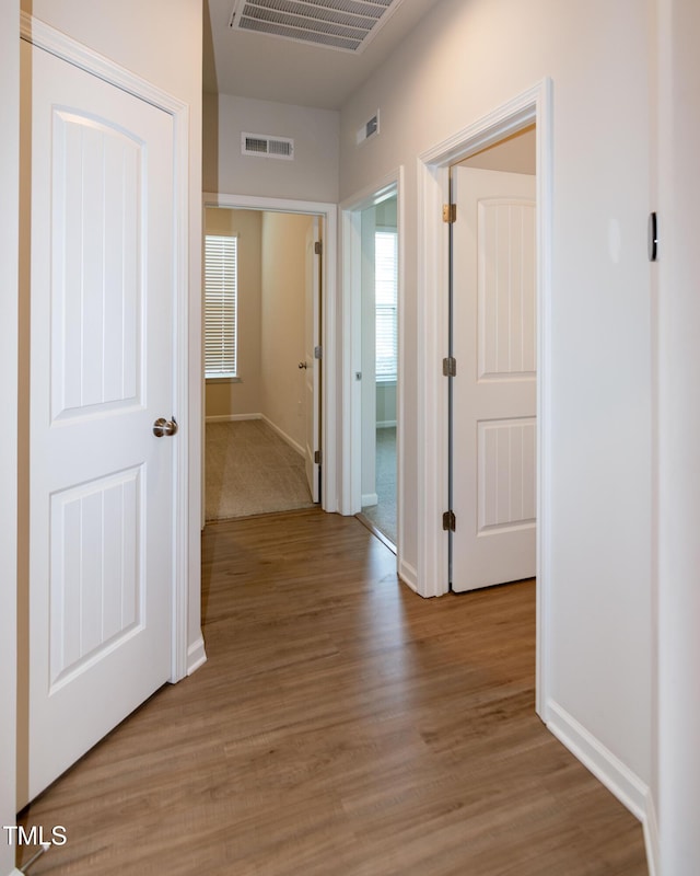 209 Stone River Dr, Wendell, NC 27591 - photo 8