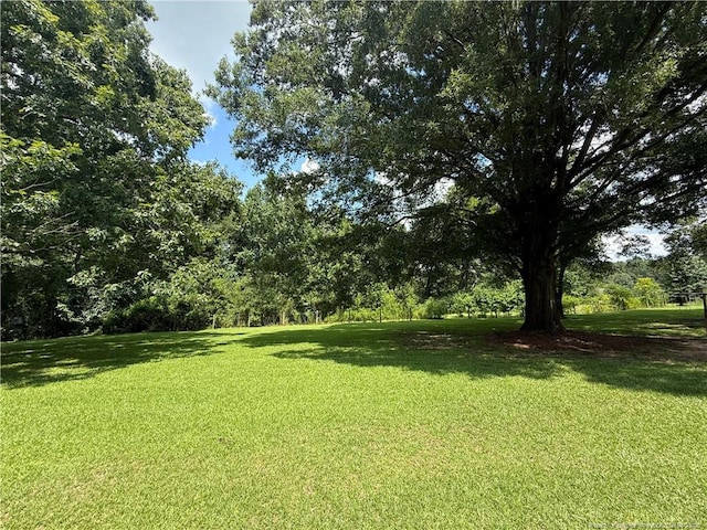 2732 Leaflet Church Rd, Broadway, NC 27505 - photo 7
