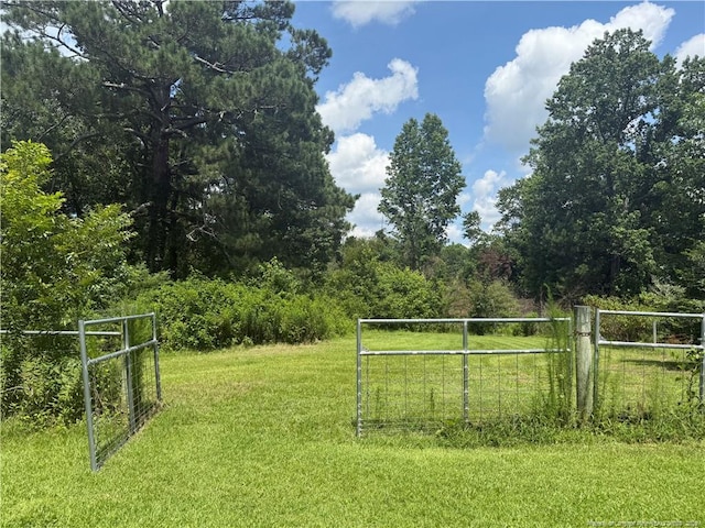 2732 Leaflet Church Rd, Broadway, NC 27505 - photo 10