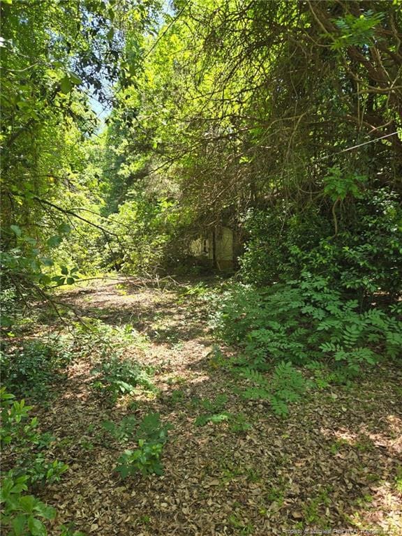 203 Scarborough St, Spring Lake, NC 28390 - photo 3