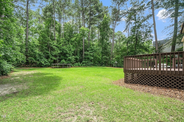 117 Garden Oaks Dr, Smithfield, NC 27577 - photo 27