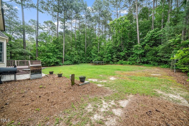 117 Garden Oaks Dr, Smithfield, NC 27577 - photo 28