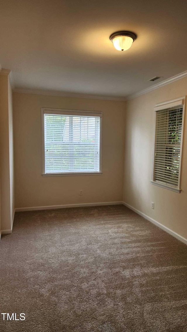 1016 Dotson Way, Apex, NC 27523 - spare room featuring crown molding and carpet floors