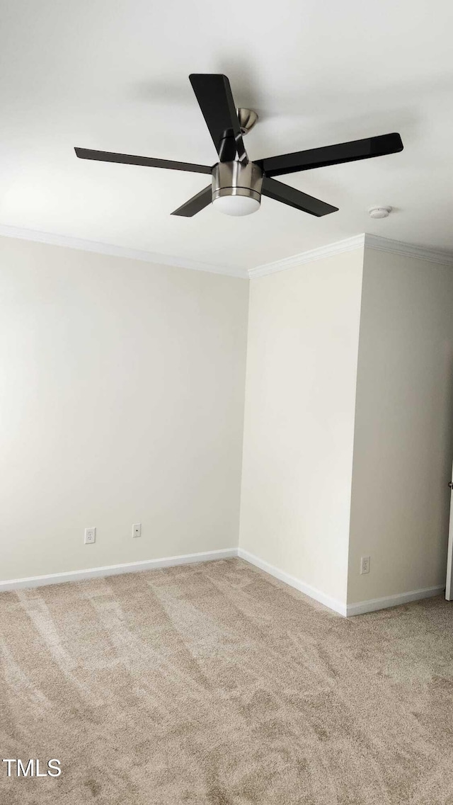 1016 Dotson Way, Apex, NC 27523 - empty room with ornamental molding, ceiling fan, and carpet flooring