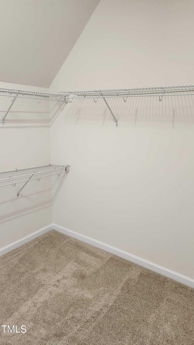 1016 Dotson Way, Apex, NC 27523 - walk in closet featuring carpet and vaulted ceiling