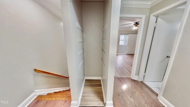 4736 Walden Pond Dr, Raleigh, NC 27604 - photo 14