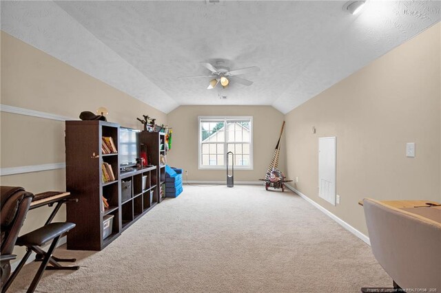 229 Fallingleaf Dr, Raeford, NC 28376 - photo 25