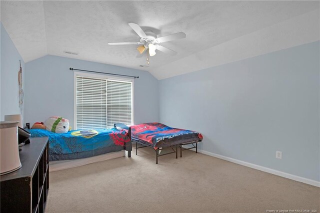 229 Fallingleaf Dr, Raeford, NC 28376 - photo 27
