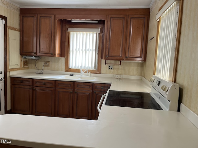 129 S Bullock St, Henderson, NC 27536 - kitchen with white range with electric stovetop, wallpapered walls, light countertops, brown cabinetry, and crown molding