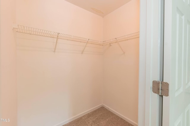 3110 Trinness Dr, Durham, NC 27707 - walk in closet with carpet floors