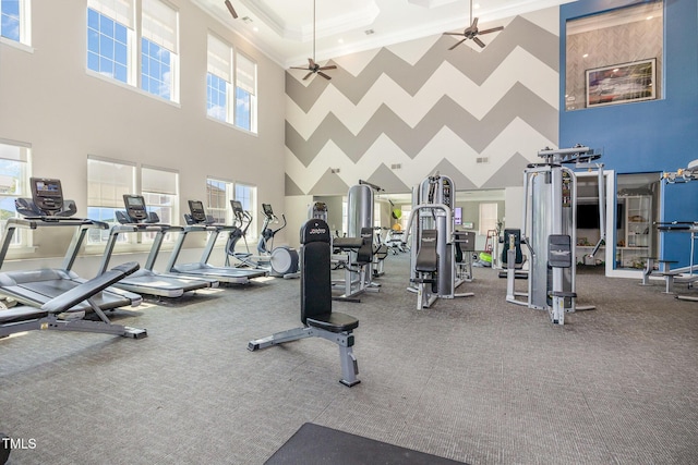 248 Amber Acorn Ave, Raleigh, NC 27603 - exercise room featuring a towering ceiling, ornamental molding, carpet, and ceiling fan