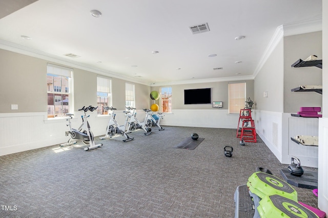 248 Amber Acorn Ave, Raleigh, NC 27603 - workout area featuring ornamental molding, carpet, and a wainscoted wall