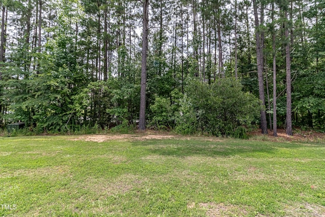 121 Longleaf Pine St, Clayton, NC 27527 - view of grassy yard