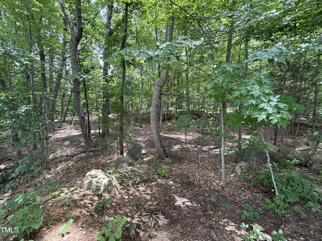 13427 Chub Lake Rd, Roxboro, NC 27574