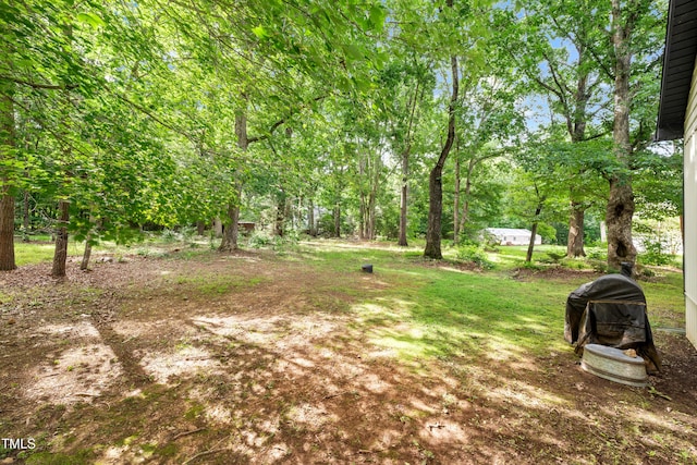 2809 Titleist Dr, Hillsborough, NC 27278 - view of yard