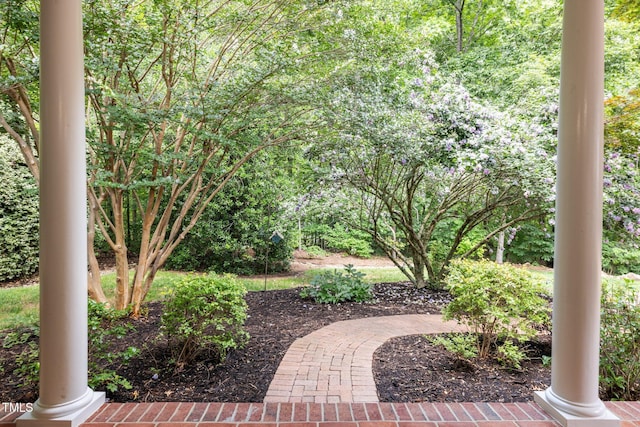 300 Oak Ridge Dr, Hillsborough, NC 27278 - view of yard