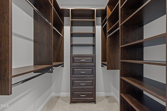 300 Oak Ridge Dr, Hillsborough, NC 27278 - spacious closet with light carpet