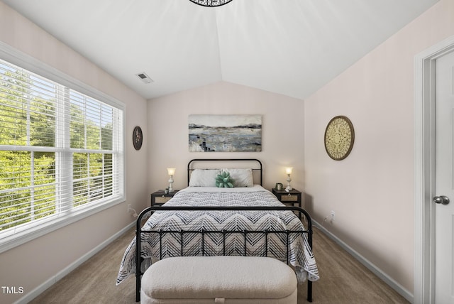 1625 Main Divide Dr, Wake Forest, NC 27587 - carpeted bedroom with baseboards and lofted ceiling