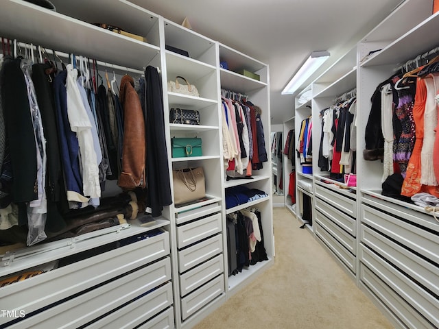 502 Willowmere Ct, Cary, NC 27513 - spacious closet with light colored carpet