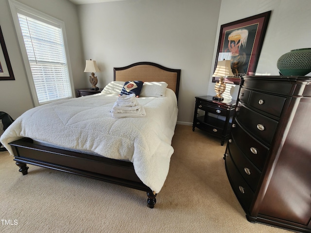 502 Willowmere Ct, Cary, NC 27513 - bedroom featuring light colored carpet and baseboards