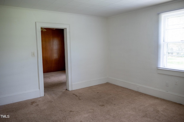 5004 US-70 Alt, Princeton, NC 27569 - photo 12