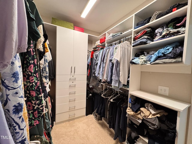 1005 Lathrop Ln, Apex, NC 27523 - spacious closet with light carpet
