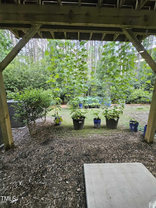 1005 Lathrop Ln, Apex, NC 27523 - view of yard