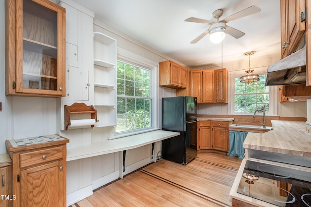 420 Lipscomb Grove Church Rd, Hillsborough, NC 27278 - kitchen with freestanding refrigerator, light wood-style flooring, light countertops, ceiling fan, and healthy amount of natural light