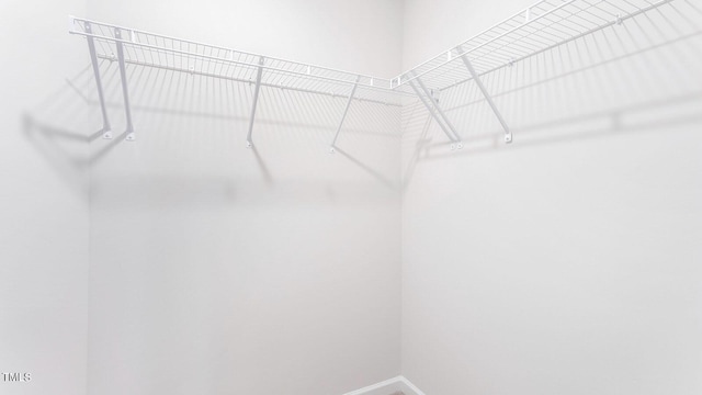 1911 Hinesley Dr, Durham, NC 27703 - view of walk in closet
