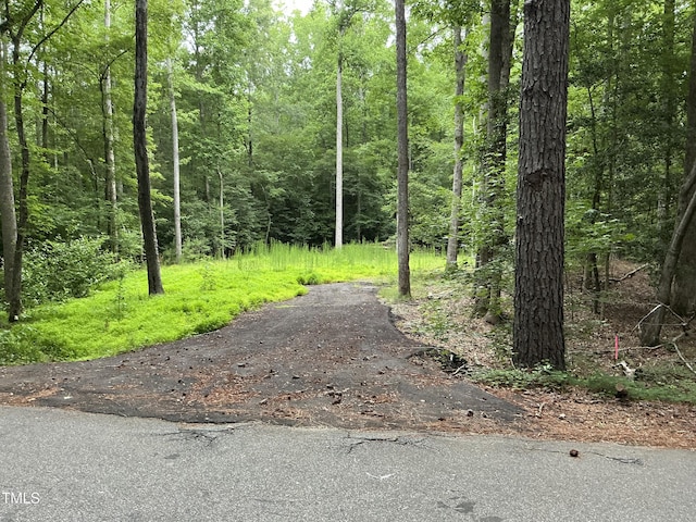 117 Ute Ln, Louisburg, NC 27549 - photo 1