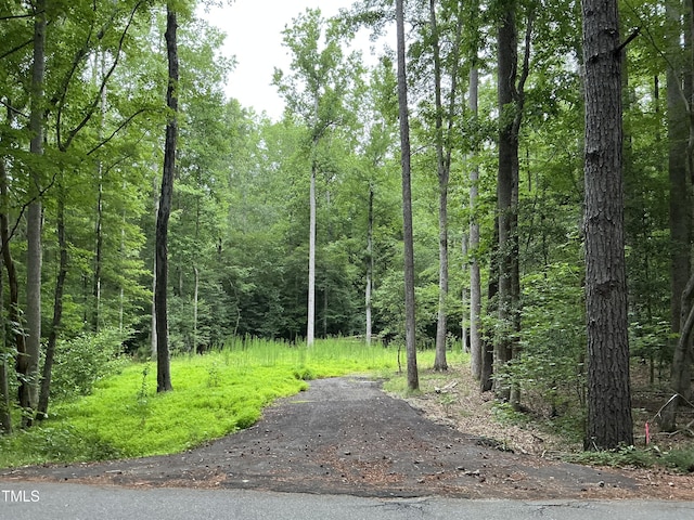 117 Ute Ln, Louisburg, NC 27549 - photo 2
