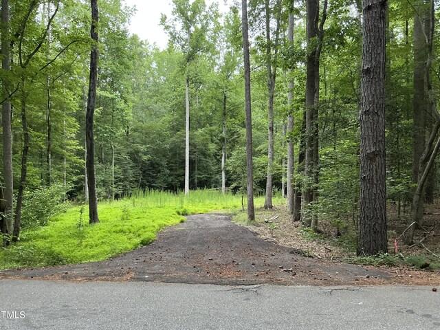 117 Ute Ln, Louisburg, NC 27549 - photo 3