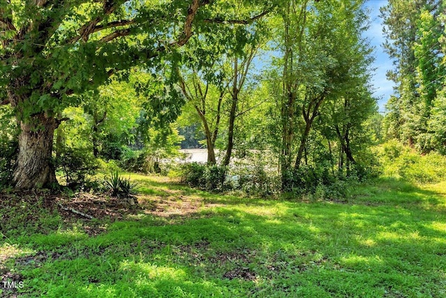 7082 Cornwall Rd, Oxford, NC 27565 - photo 27