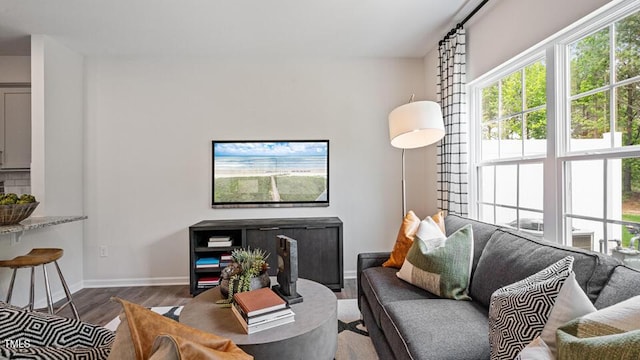 429 Belgian Red Way, Wake Forest, NC 27587 - living room with wood finished floors and plenty of natural light