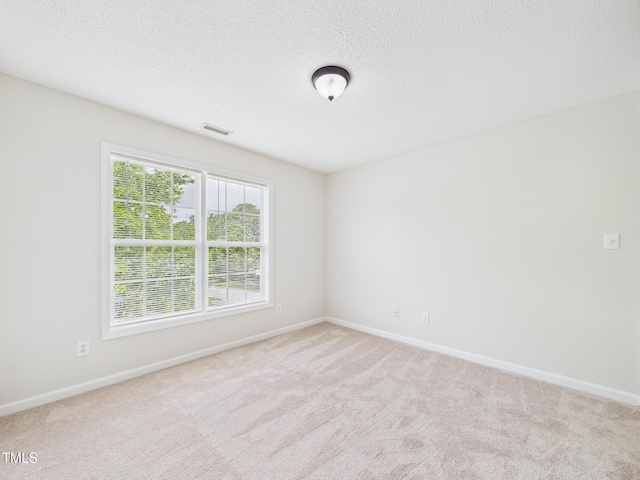 7501 Montibillo Pkwy, Durham, NC 27713 - spare room with light carpet and a textured ceiling