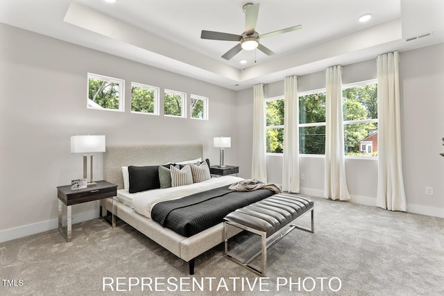 7678 New Sandy Hill Church Rd, Sims, NC 27880 - carpeted bedroom featuring a tray ceiling and recessed lighting