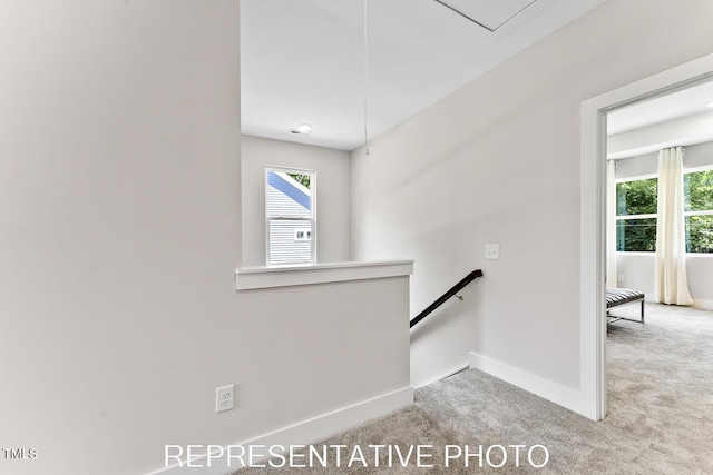 7678 New Sandy Hill Church Rd, Sims, NC 27880 - stairway featuring carpet flooring and attic access