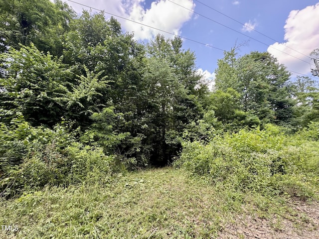 TBD Hunters Cir, Rougemont, NC 27572