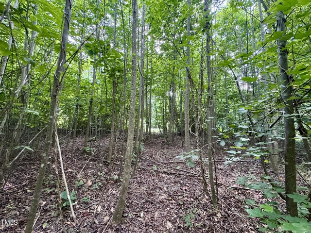 TBD Hunters Cir, Rougemont, NC 27572