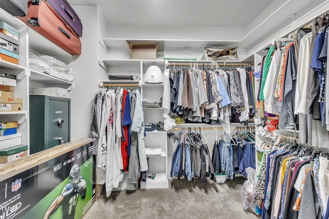 3728 Marwick Ct, Wendell, NC 27591 - spacious closet with carpet flooring