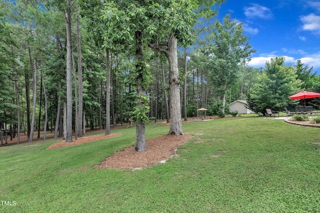 3728 Marwick Ct, Wendell, NC 27591 - view of green lawn