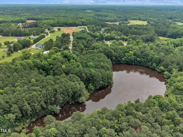 3728 Marwick Ct, Wendell, NC 27591 - bird's eye view of a heavily wooded area and a large body of water