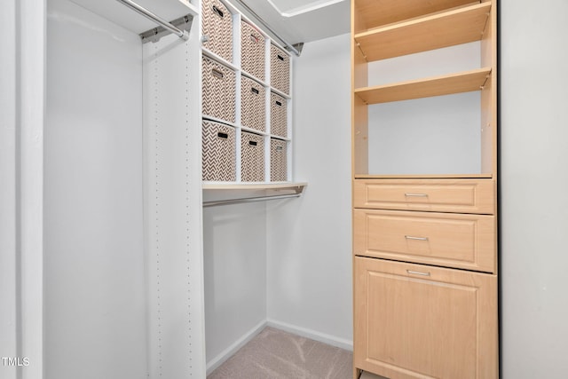 1563 Laureldale Dr, Raleigh, NC 27609 - walk in closet with carpet floors