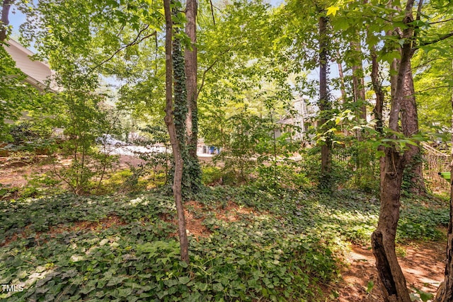 1563 Laureldale Dr, Raleigh, NC 27609 - view of nature