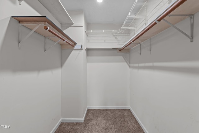 11 Stone Village Ct, Durham, NC 27704 - walk in closet featuring carpet flooring