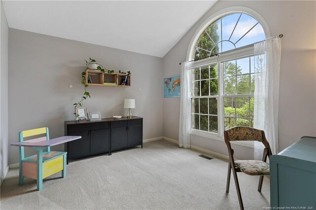 104 Somerset Dr, Raeford, NC 28376 - carpeted home office featuring plenty of natural light and lofted ceiling