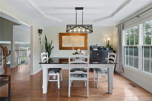 104 Somerset Dr, Raeford, NC 28376 - dining area with a tray ceiling, wood finished floors, and plenty of natural light
