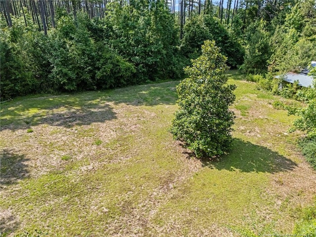 944 Cain Rd, Saint Pauls, NC 28384 - view of grassy yard