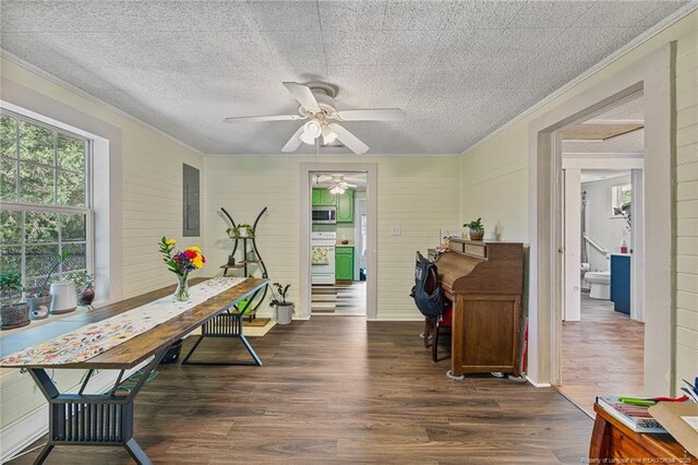 944 Cain Rd, Saint Pauls, NC 28384 - interior space with plenty of natural light, crown molding, ceiling fan, and dark wood finished floors
