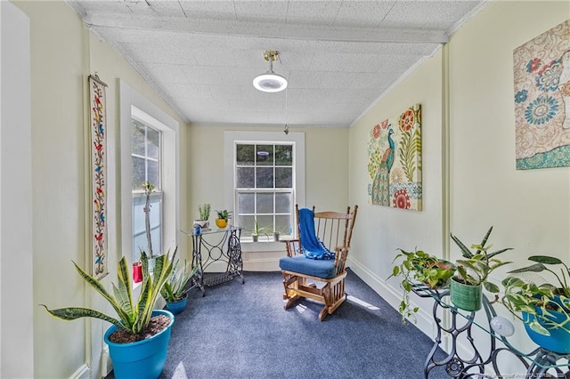 944 Cain Rd, Saint Pauls, NC 28384 - sitting room featuring carpet and baseboards